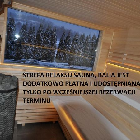 Apartamenty Sowiogorskie Peterswaldau Exterior foto